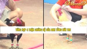 Tổng hợp 4 trận chồng độ của anh Tửng Bến Tre