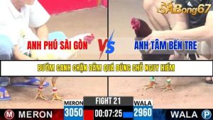 Trận 21 Bồ Gà C3 Ngày 14/7/2025