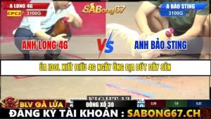 Trận 13 Bồ Gà C2 Ngày 16/7/2025