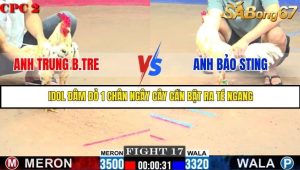 Trận 17 Bồ Gà C2 Ngày 20/7/2025