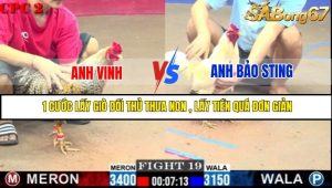 Trận 19 Bồ Gà C2 2/7/2025