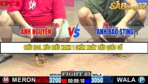 Trận 23 Bồ Gà C2 Ngày 16/7/2025