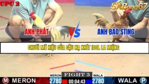 Trận 3 Bồ Gà C2 Ngày 20/7/2025