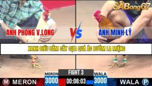 Trận 3 Bồ Gà C3 Ngày 31/7/2025