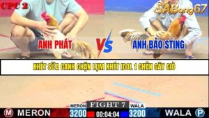Trận 7 Bồ Gà C2 Ngày 20/7/2025