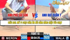 Trận 10 Bồ Gà C3 Ngày 4/8/2025