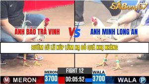 Trận 12 Bồ Gà C3 Ngày 4/8/2025