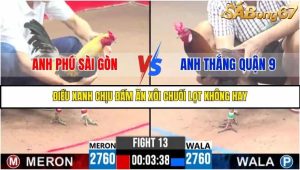 Trận 13 Bồ Gà C3 Ngày 4/8/2025