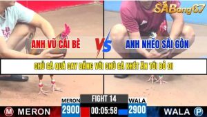 Trận 14 Bồ Gà C3 Ngày 4/8/2025