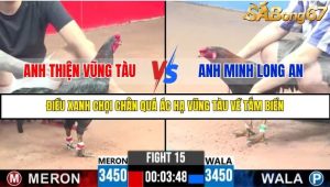 Trận 15 Bồ Gà C3 Ngày 4/8/2025