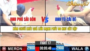 Trận 17 Bồ Gà C3 Ngày 4/8/2025