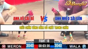 Trận 18 Bồ Gà C3 Ngày 4/8/2025