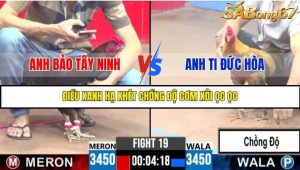 Trận 19 Bồ Gà C3 Ngày 4/8/2025