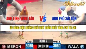 Trận 2 Bồ Gà C3 Ngày 4/8/2025