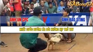 Trận 10 Bồ Gà Tonhon 27/8/2025