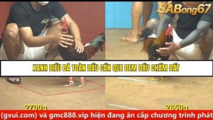 Trận 15 Bồ Gà C4 Ngày 23/8/2025