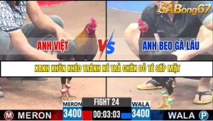 Trận 24 Bồ Gà C3 Ngày 5/8/2025