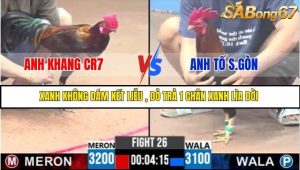 Trận 26 Bồ Gà C3 Ngày 5/8/2025