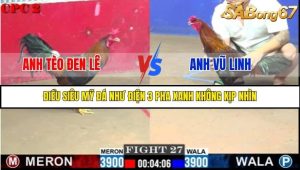 Trận 27 Bồ Gà C2 Ngày 3/8/2025