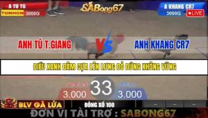Trận 33 Bồ Gà Tonhon 27/8/2025
