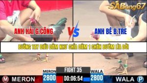 Trận 35 Bồ Gà C3 Ngày 5/8/2025