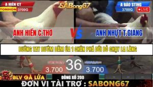 Trận 36 Bồ Gà Tonhon 27/8/2025