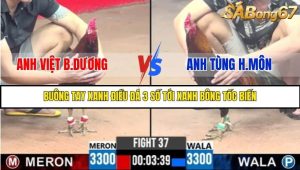 Trận 37 Bồ Gà C3 Ngày 5/8/2025