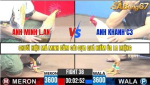 Trận 38 Bồ Gà C3 Ngày 5/8/2025