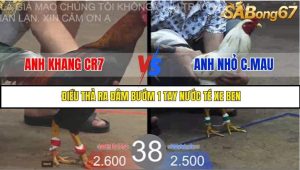 Trận 38 Bồ Gà Tonhon 27/8/2025
