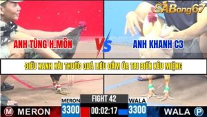 Trận 42 Bồ Gà C3 Ngày 5/8/2025