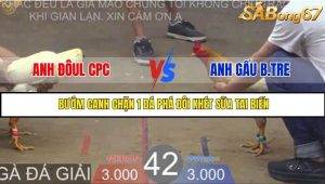 Trận 42 Bồ Gà Tonhon 27/8/2025