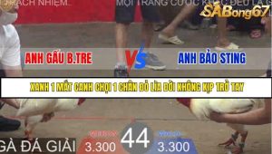 Trận 44 Bồ Gà Tonhon 27/8/2025