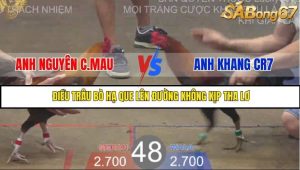 Trận 48 Bồ Gà Tonhon 27/8/2025