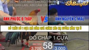Trận 58 Bồ Gà Tonhon 27/8/2025