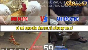 Trận 59 Bồ Gà Tonhon 27/8/2025