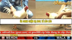 Trận 44 Bồ Gà C4 Ngày 13/9/2025