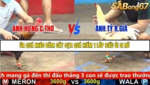 Trận 11 Bồ Gà C5 25/9/2025