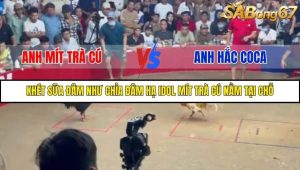 Trận 14 Bồ Gà Tonhon 27/9/2025