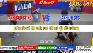 Trận 19 Bồ Gà Tonhon 27/9/2025