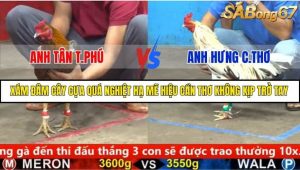 Trận 38 Bồ Gà C5 25/9/2025