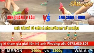 Trận 4 Bồ Gà C5 17/9/2025