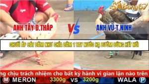 Trận 4 Bồ Gà C5 18/9/2025