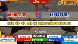 Trận 46 Bồ Gà Tonhon 27/9/2025