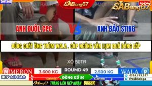 Trận 49 Bồ Gà Tonhon 27/9/2025