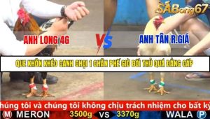 Trận 6 Bồ Gà C5 25/9/2025