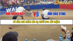 Trận 7 Bồ Gà Tonhon 27/9/2025