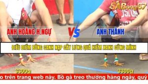 Trận 8 Bồ Gà C5 2/9/2025