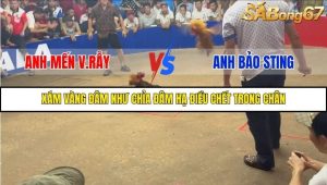 Trận 9 Bồ Gà Tonhon 27/9/2025