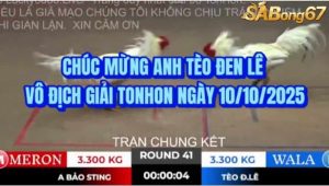 Nhà vô địch giải đá gà cúp Tonhon ngày 10/10/2025