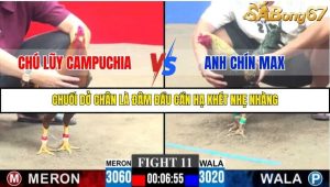 Trận 11 Bồ Gà C3 18/10/2025